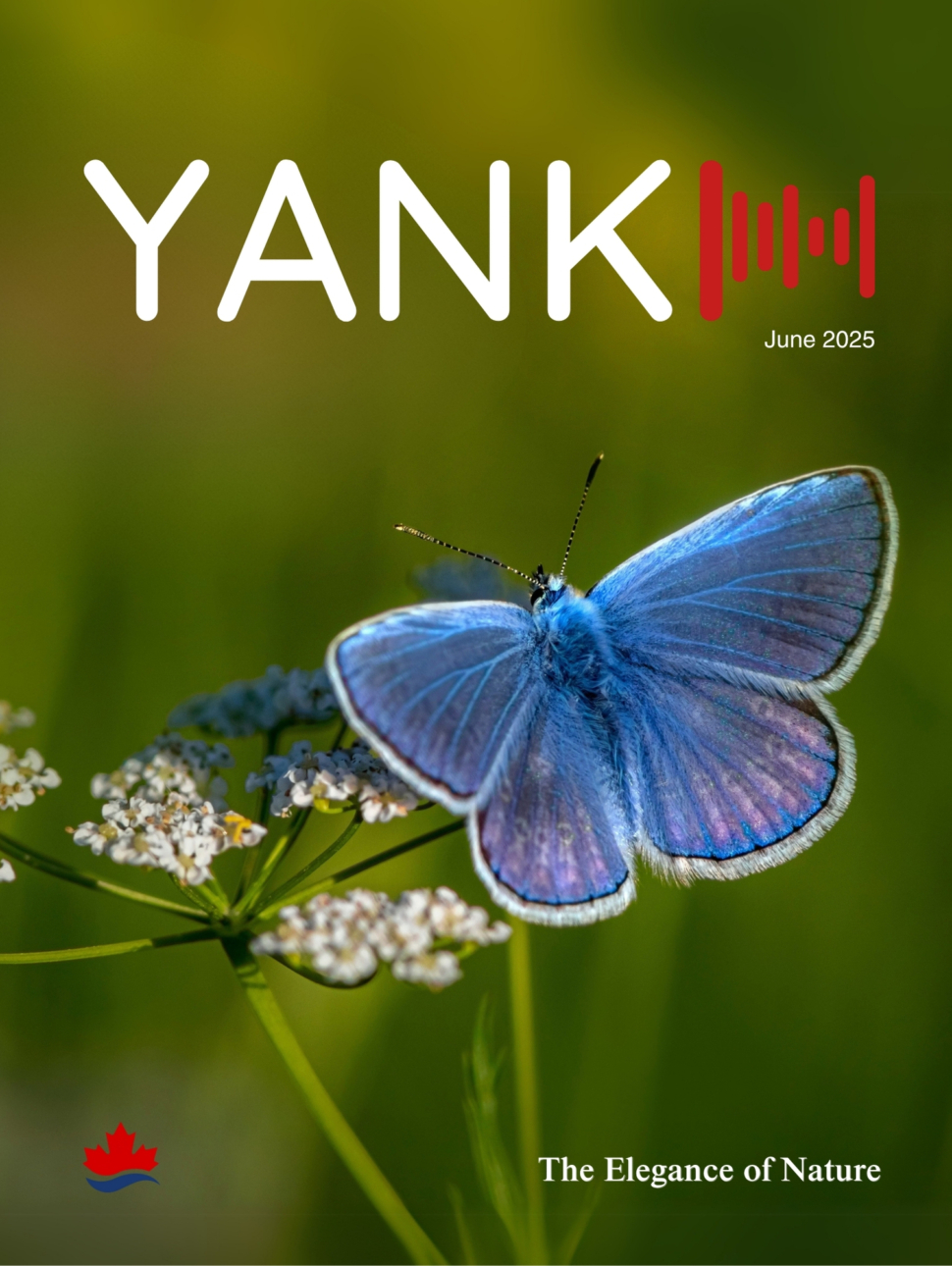 Cover - JUNE 2025