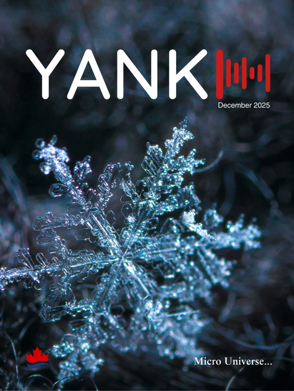 YANKI - DECEMBER 2025